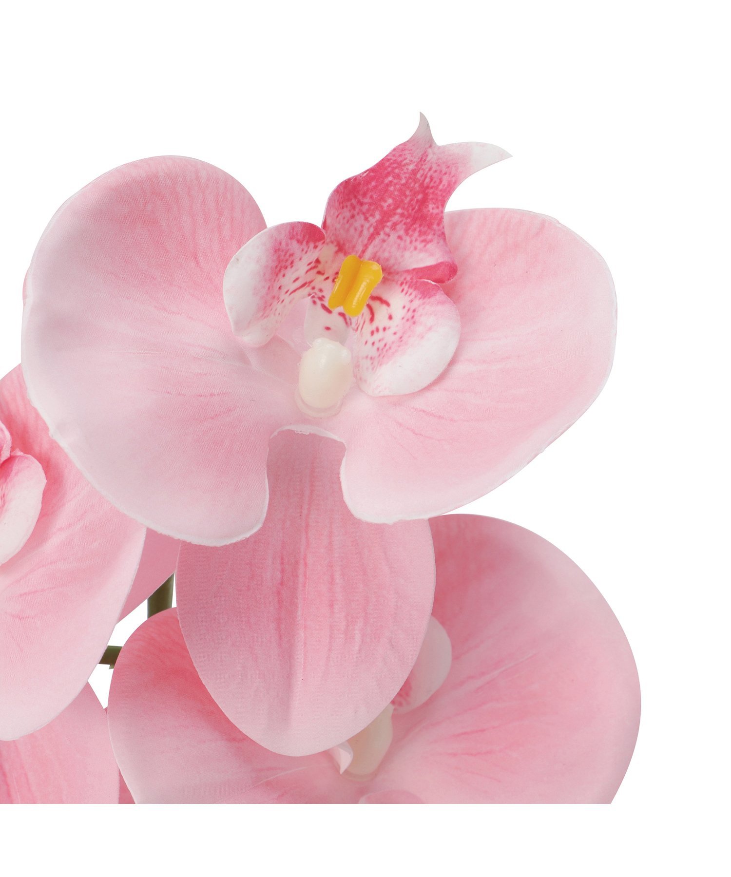 アートフラワー リアルタッチファレノプシス2024春夏モデル