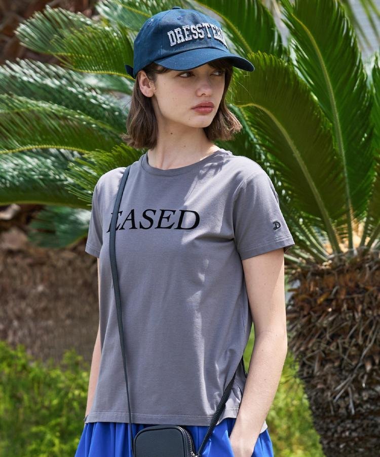 【立体ロゴ】フロッキーロゴプリントTシャツ ドレステリア トップス カットソー・Tシャツ ブラウン ホワイト グレー