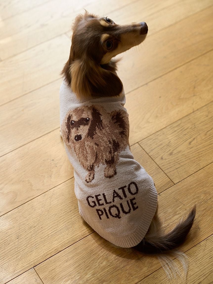 GELATO PIQUE CAT&DOG 【CAT&DOG】ダックスフンドジャガードノースリーブプルオーバー ジェラートピケ ペット用品 ペットウェア・ペット服 ホワイト ネイビー【送料無料】
