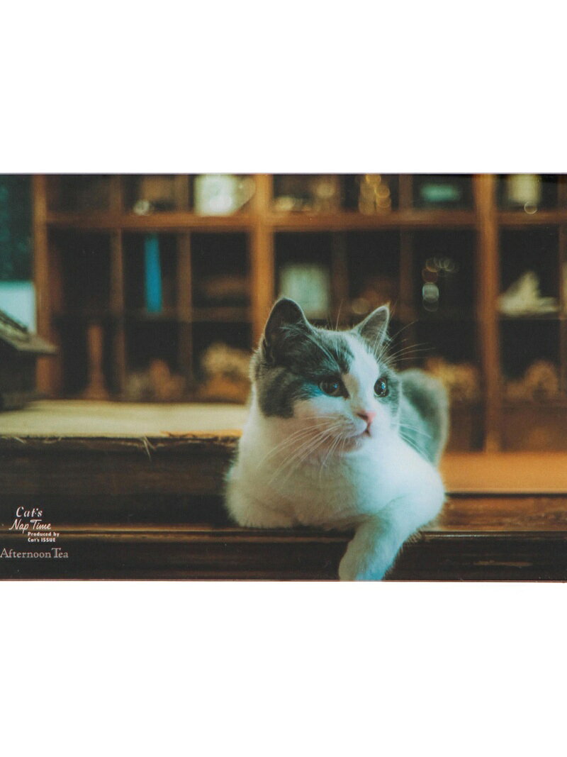 Afternoon Tea LIVING DY34 しらすスチールパネルNO.5 アフタヌーンティー・リビング 福袋・ギフト・その他 その他 レッド【送料無料】のサムネイル