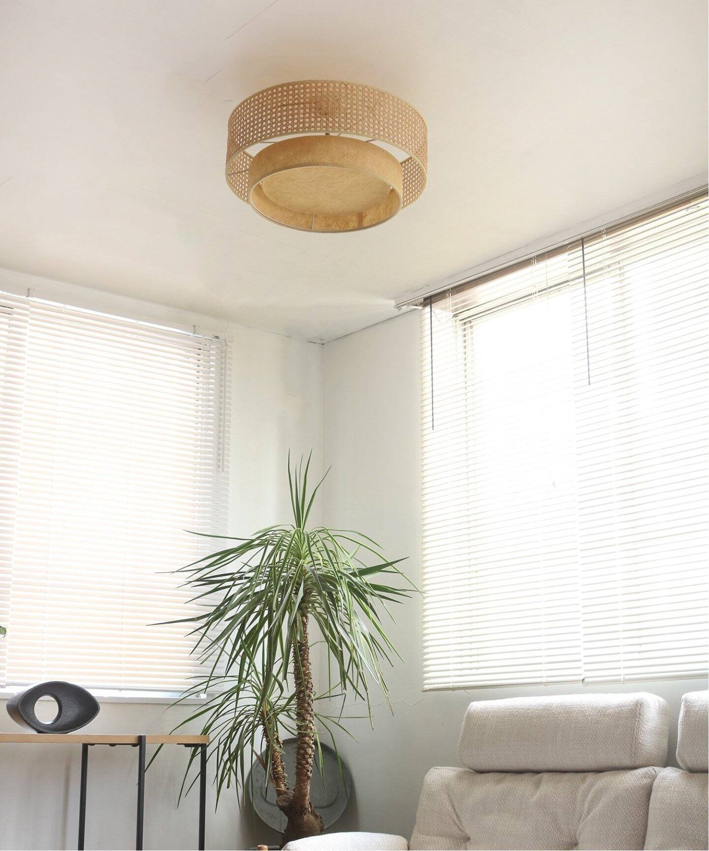 JOURNAL STANDARD FURNITURE DAFNE CEILING LAMP _tl V[Ov W[iX^_[ht@j`[ CeAEG CgEƖ   