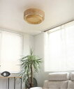 JOURNAL STANDARD FURNITURE DAFNE CEILING LAMP ダフネ シーリングランプ ジャーナルスタンダードファニチャー インテ...