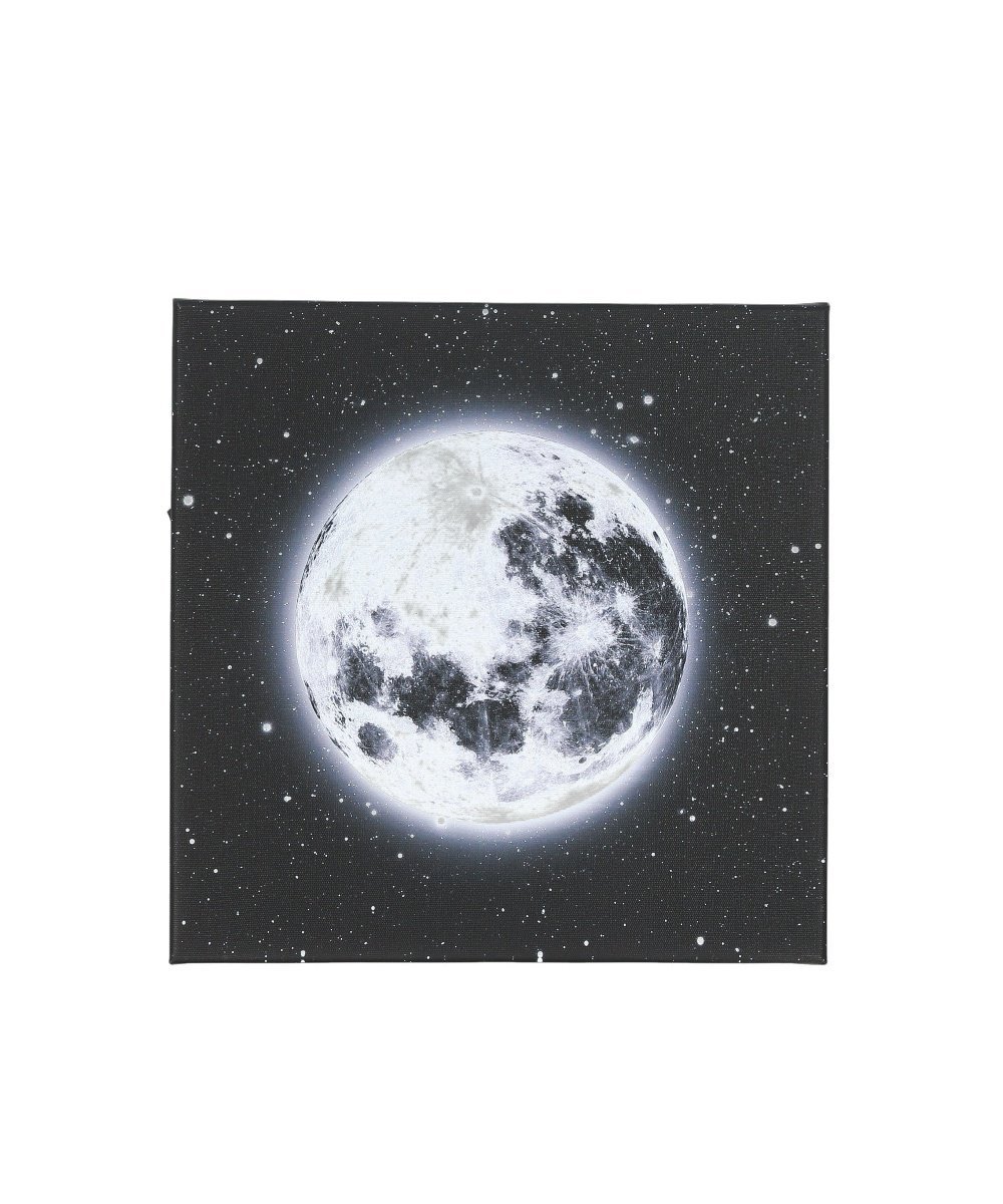 BACKYARD FAMILY LEDキャンパスアート ローラ インテリア・生活雑貨 その他のインテリア・生活雑貨【送料無料】