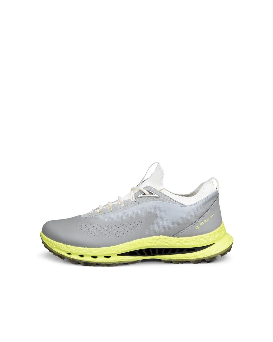 ECCO ECCO 売れ筋 GOLF BIOM C5 メンズ 本革 ゴルフシューズ 防水 エコー シューズ・靴 スニーカー グレー【送料無料】