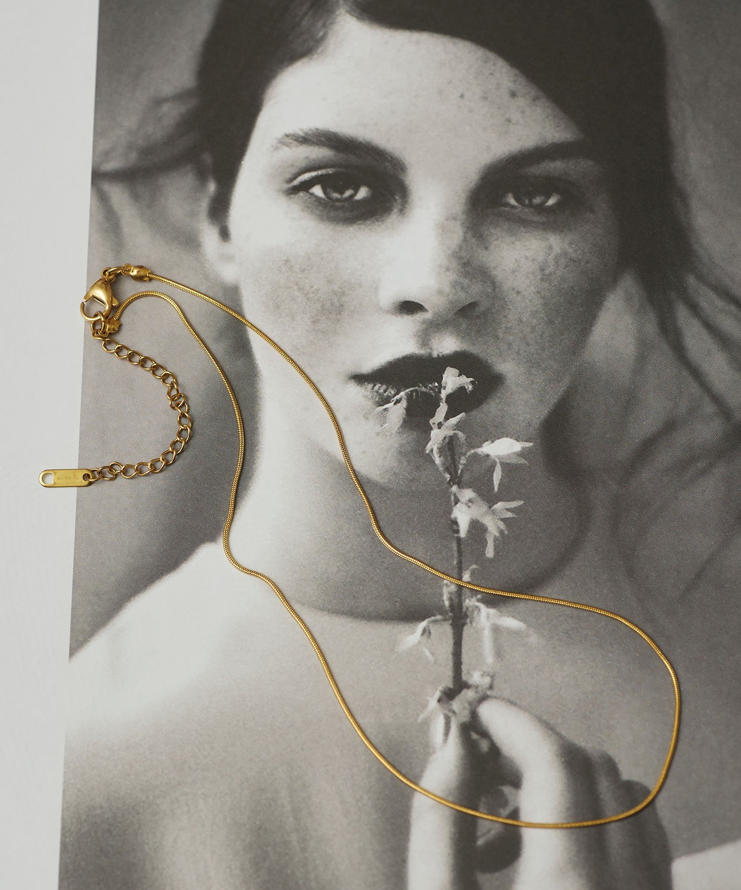 【SALE/30%OFF】Diliraba ステンレス スネークチェーン ネックレス ハシバミ / ネコロジー アクセサリー・腕時計 ネックレス ゴールド