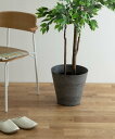 URBAN RESEARCH DOORS 『WEB限定』amabro ART STONE L アーバンリサーチドアーズ 福袋・ギフト・その他 その他 グレー