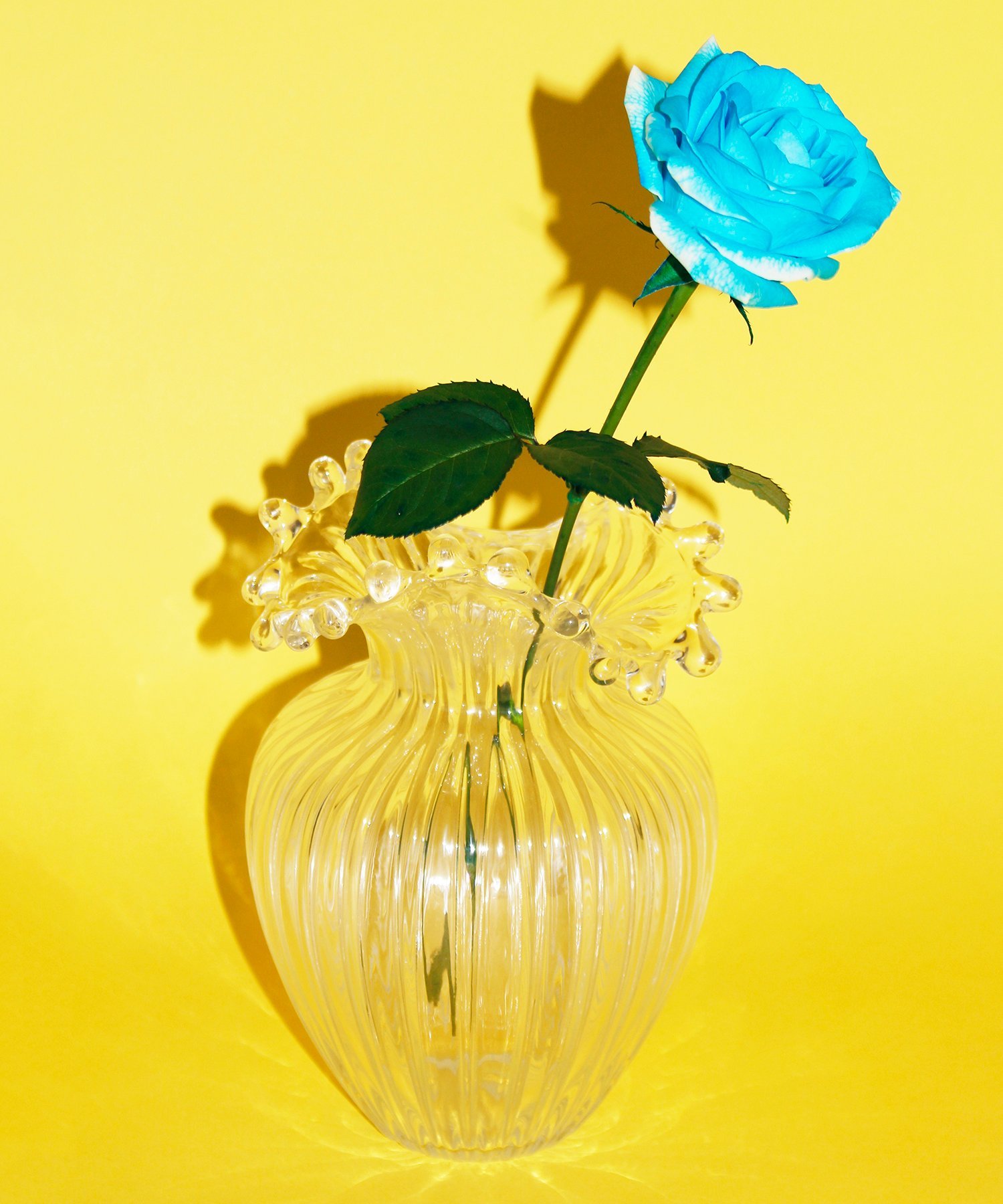 Casselini Casselini HOME(キャセリーニ ホーム)ガラスフラワーベースBF キャセリーニ インテリア・生活雑貨 フラワーベース・花瓶【送料無料】