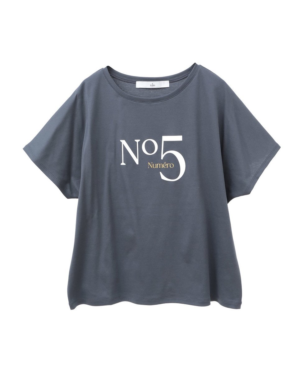 TIARA NO.5ドルマンTシャツ ティアラ トップス カットソー・Tシャツ ホワイト グレー