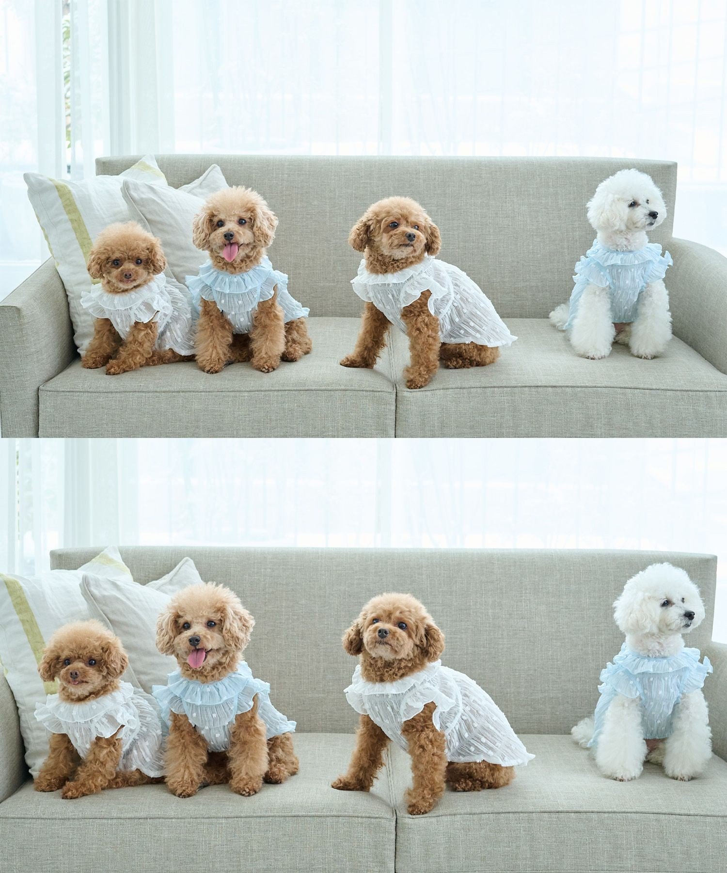 【SALE／40%OFF】ROPE' PICNIC PASSAGE 【DOG】シアードットワンピース ロペピクニック ペット用品 ペットウェア・ペット服 ホワイト stylife-15505591 Rakuten Fashion サンプル画像3