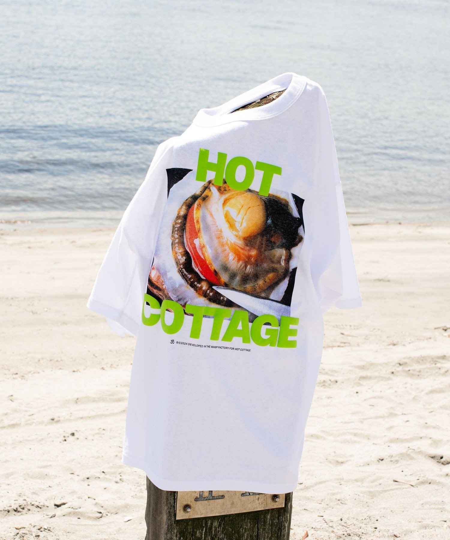 【SALE／40%OFF】BEAMS T ED DAVIS / T-shirt ビームス アウトレット トップス カットソー・Tシャツ ホワイト【送料無料】