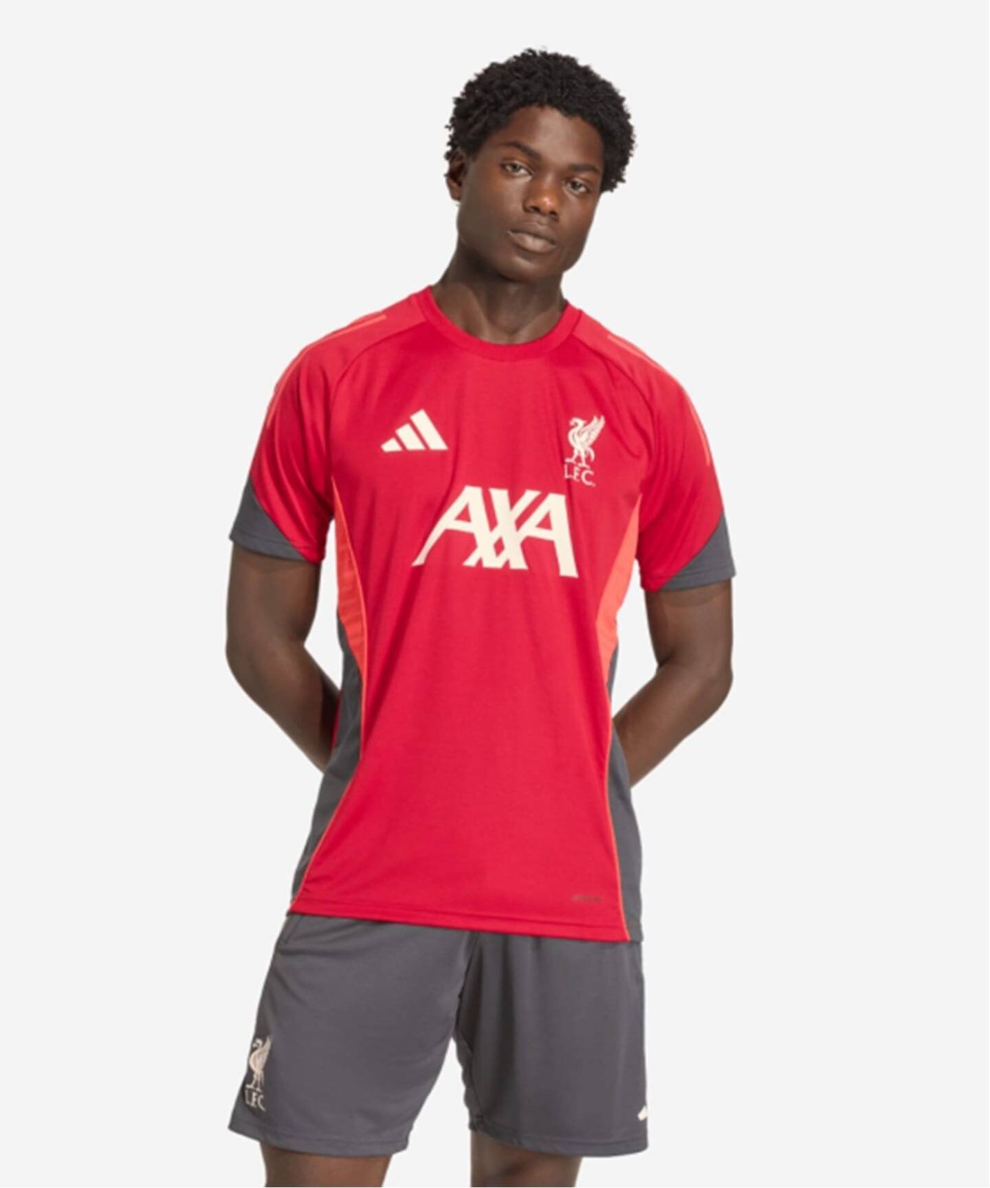 Liverpool FC 【Liverpool FC / リバプール FC】ADIDAS TR JSY フォーワンセブン エディフィス トップス カットソー・Tシャツ レッド【送料無料】