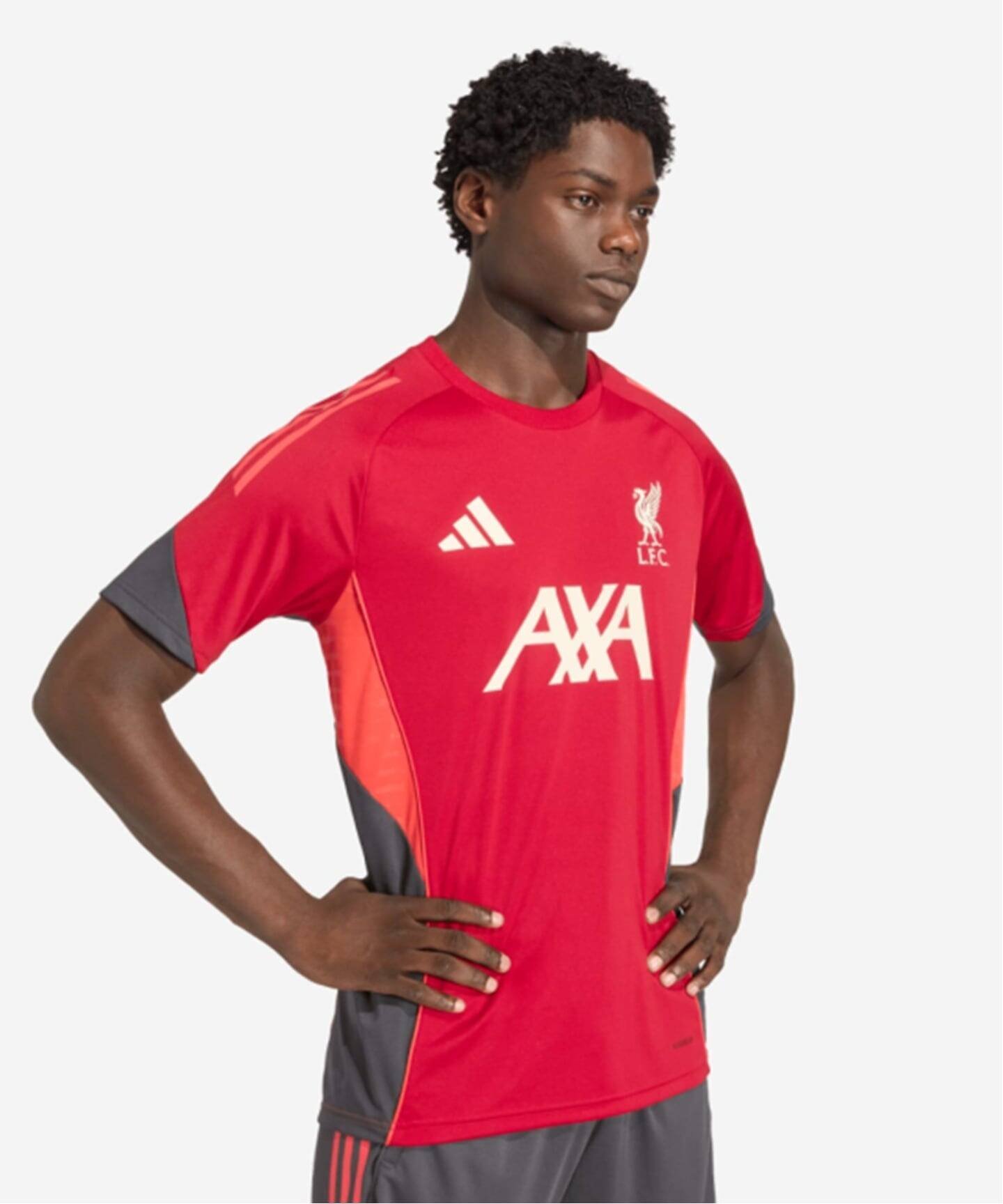 Liverpool FC 【Liverpool FC / リバプール FC】ADIDAS TR JSY フォーワンセブン エディフィス トップス カットソー・Tシャツ レッド【送料無料】