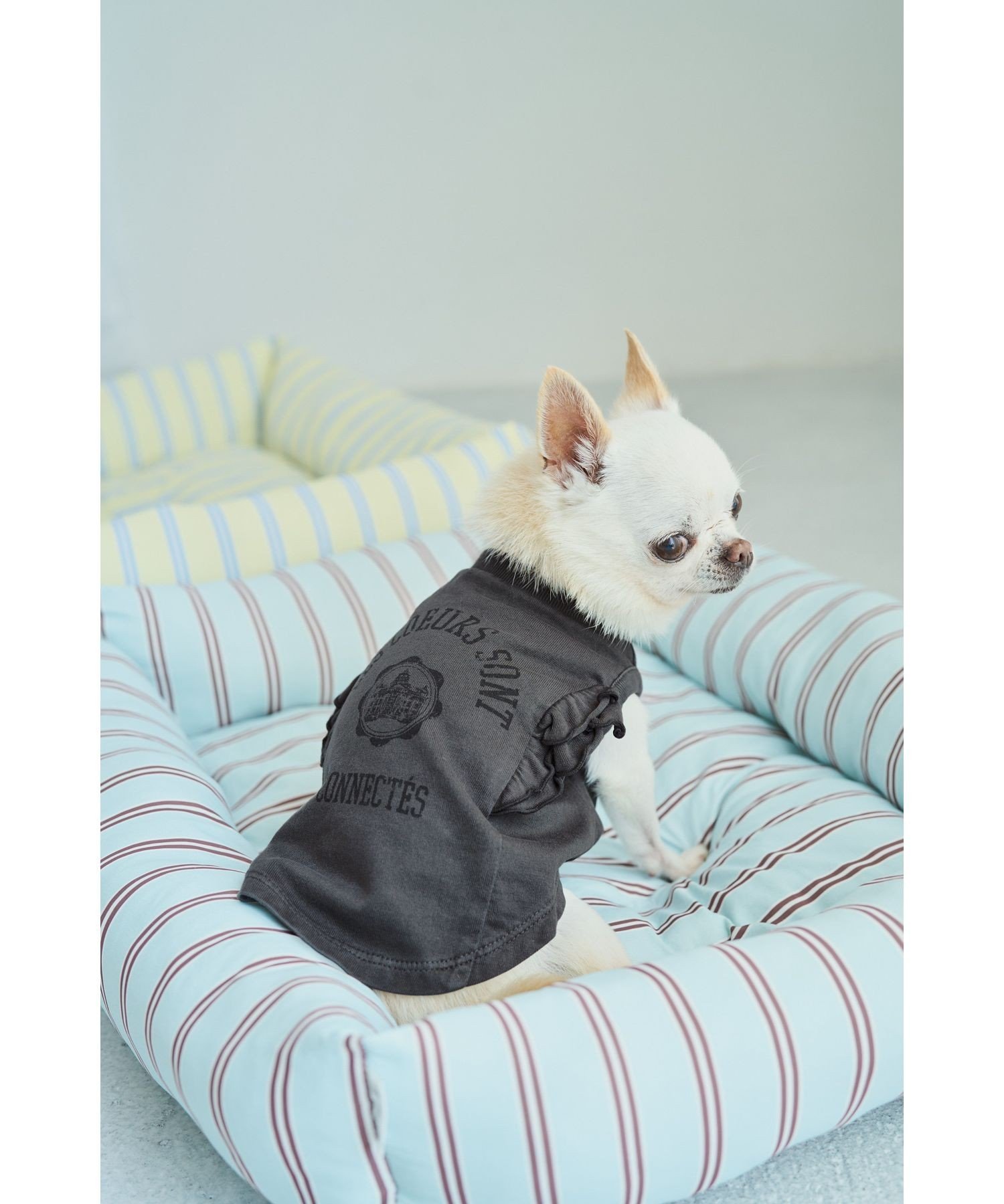 【SALE／40%OFF】ROPE' PICNIC PASSAGE 【DOG】カレッジロゴプリントピグメントTシャツ/リンクコーデ ロペピクニック ペット用品 ペットウェア・ペット服 ホワイト stylife-15640964 Rakuten Fashion サンプル画像3