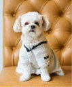 【SALE/20%OFF】petit main 【DOG】セーラー衿ワンピ ナルミヤオンライン ペット用品 ペットウェア・ペット服 ネイビー ホワイト