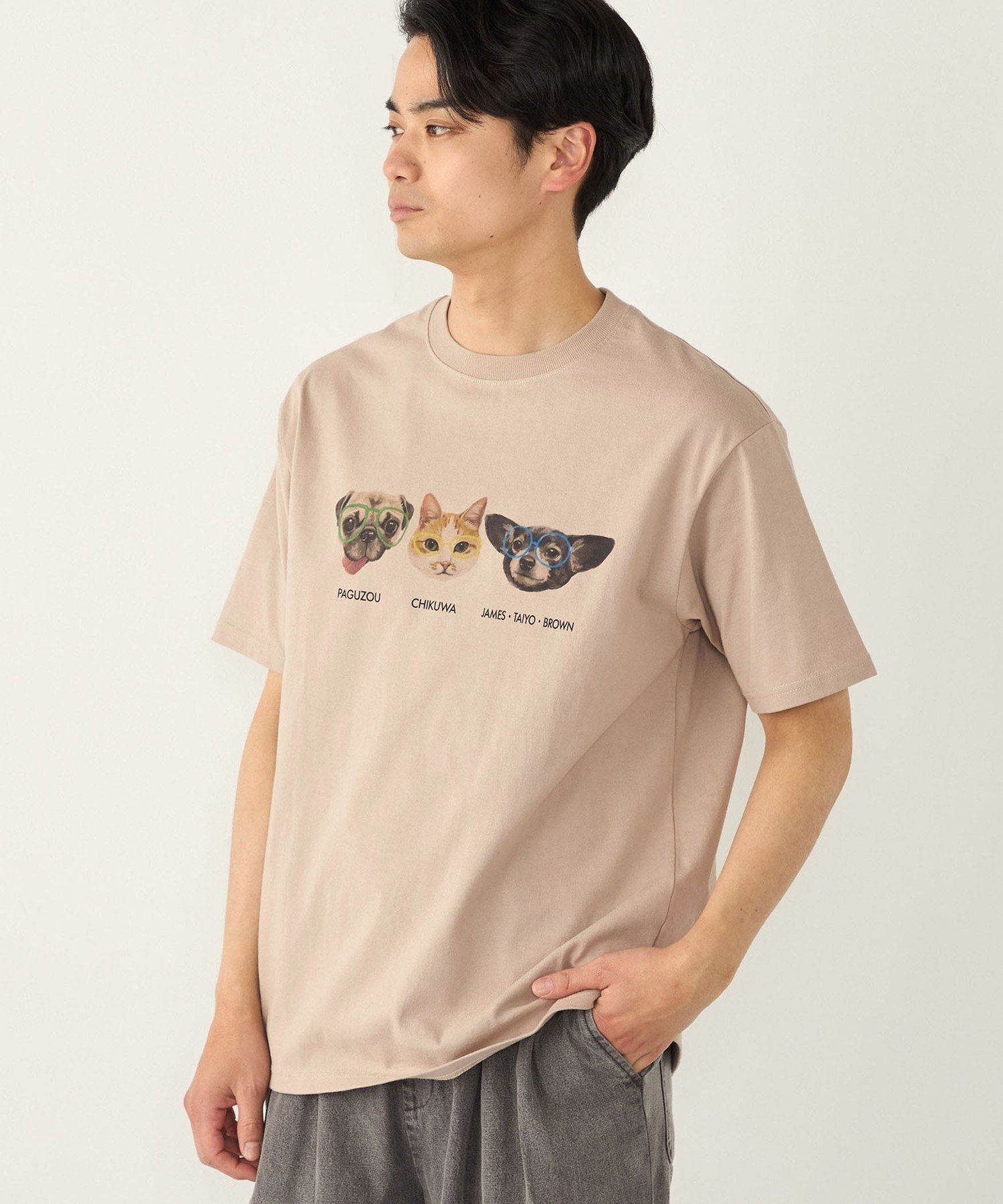 さかがみ家*SHIPS:コラボ プリント Tシャツ◇ シップス トップス カットソー・Tシャツ ベージュ ネイビー ホワイト