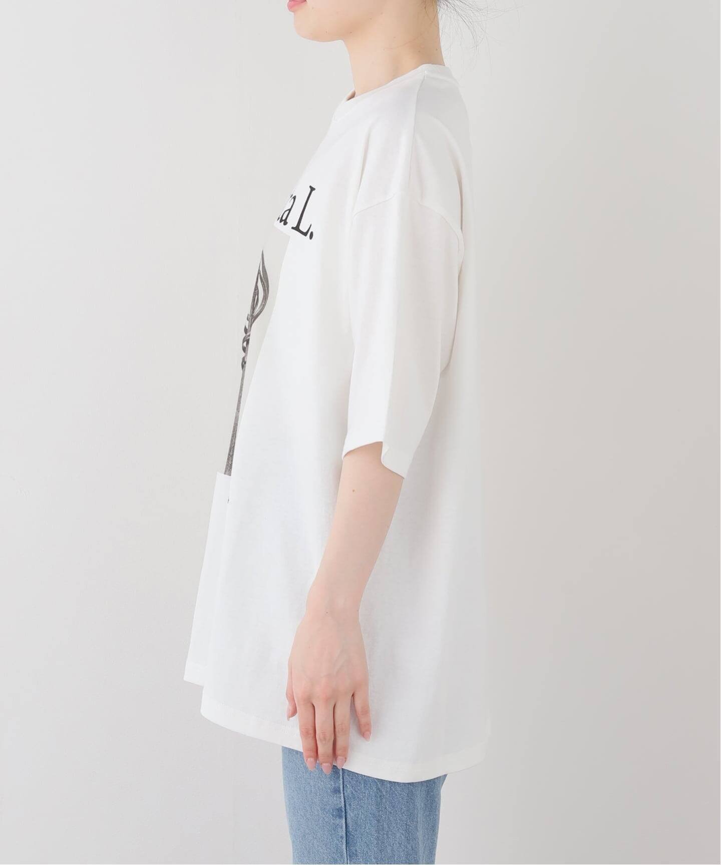 JOHNBULL/ジョンブル karl blossfeldt cucurbita L T フレームワーク トップス カットソー・Tシャツ ホワイト