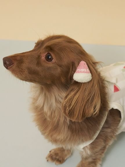 GELATO PIQUE CAT DOG 【CAT DOG】サマーモチーフヘアゴム ジェラートピケ ペット用品 その他のペット用品 レッド