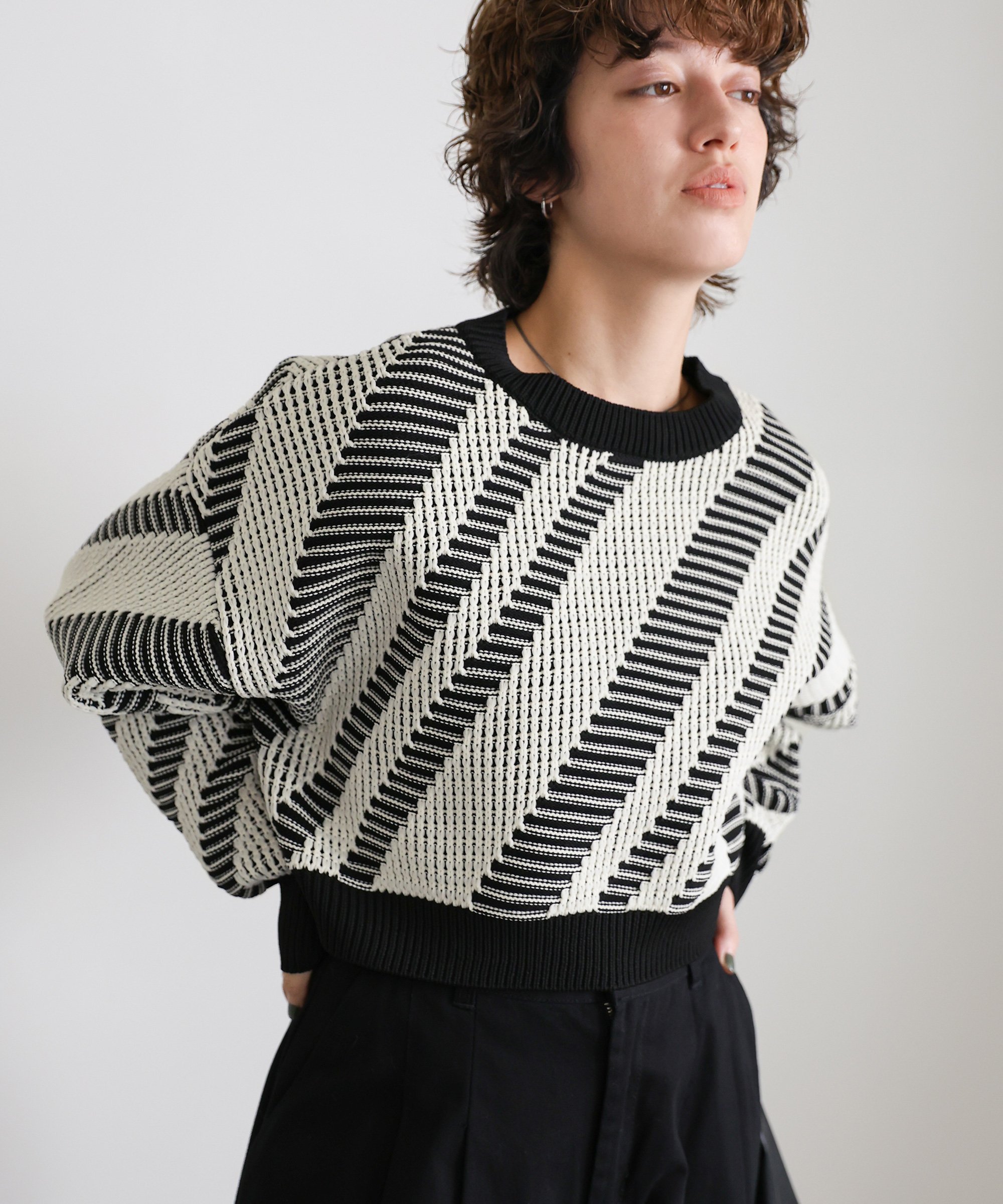 SELECT MOCA 編み地切替ショート丈柄ニットトップス セレクトモカ トップス カットソー・Tシャツ