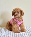 【SALE/20%OFF】ROPE' PICNIC PASSAGE 【DOG】マルチメロウボーダートップス/リンクコーデ ロペピクニック ペット用品 ペットウェ...
