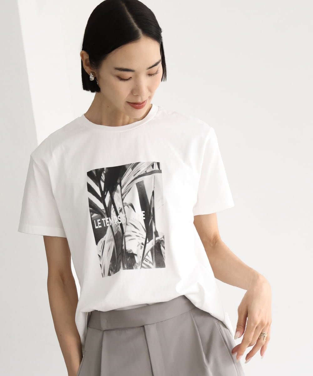 MICHEL KLEIN [WEB限定カラー]フォトTシャツ ミッシェルクラン トップス カットソー・Tシャツ ホワイト カーキグリーン グレー