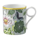 WEDGWOOD WEDGWOOD _[Xg }OJbv 250ml EH[^[[ EFbWEbh HEELb`pi OXE}OJbvE^u[yz