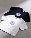 PROPORTION BODY DRESSING ショート丈フラワーフォトTシャツ プロポーションボディドレッシング トップス カットソー Tシャツ ホワイト ブラック【送料無料】