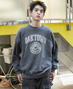 【SALE/44%OFF】WEGO MEN'S ピグメントグラフィックプルオーバー ウィゴー トップス パーカー・フーディー