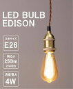 JOURNAL STANDARD FURNITURE LED SWAN BULB VF EDISON LED電球 ジャーナルスタンダードファニチャー インテリア・生活雑貨 ライト・照..