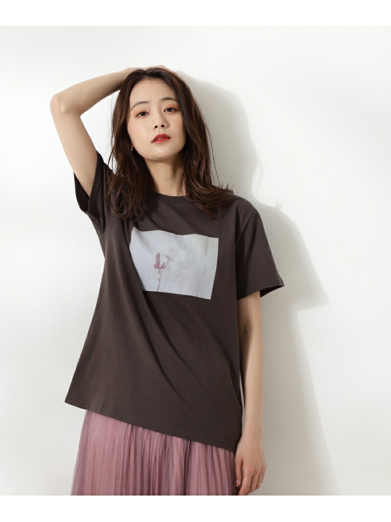 【SALE／20%OFF】N. Natural Beauty Basic フォトプリントTシャツ エヌ ナチュラルビューティーベーシック* トップス カットソー・Tシャツ ブラック ホワイト