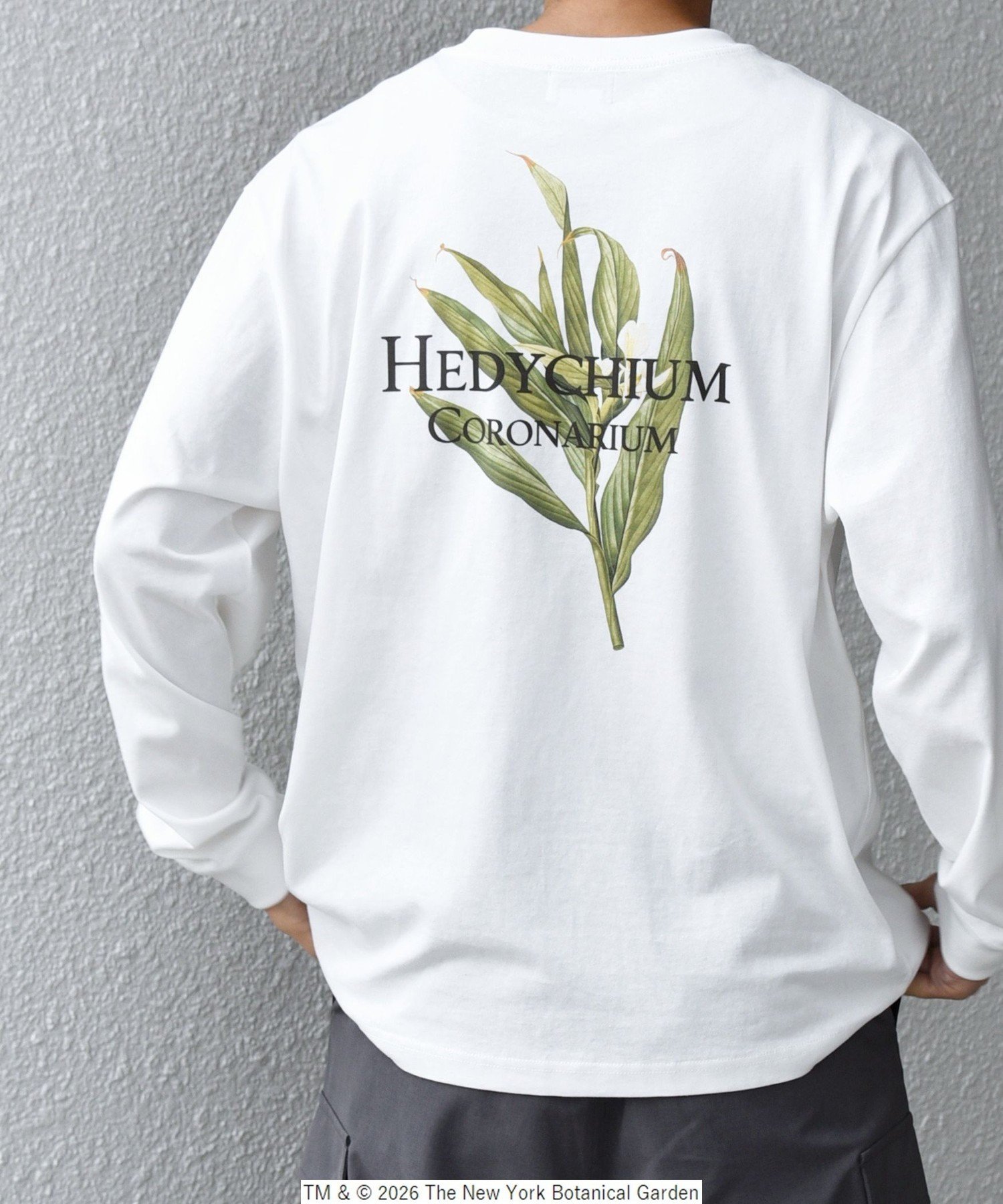 SHIPS any 【SHIPS any別注】NYBG: ボタニカル プリント リラックス Tシャツ (ロンT)◆ シップス トップス カットソー・Tシャツ ブラック ホワイト【送料無料】