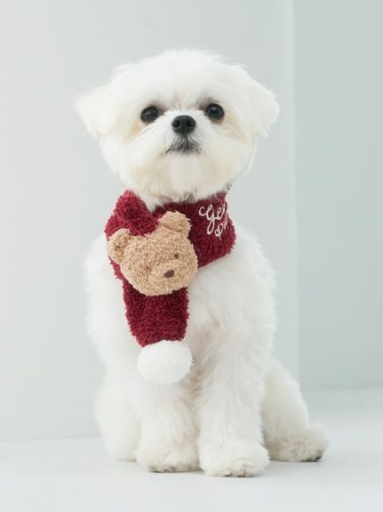 GELATO PIQUE CAT&DOG 【HOLIDAY】【CAT&DOG】ベビモコベアマフラー ジェラートピケ ペット用品 その他のペット用品 レッド 2