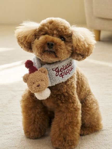 GELATO PIQUE CAT&DOG 【HOLIDAY】【CAT&DOG】ベビモコベアマフラー ジェラートピケ ペット用品 その他のペット用品 レッド 3