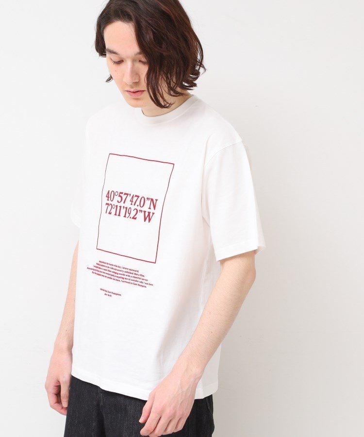 【SALE／50%OFF】Dessin 【ユニセックス・洗える】座標プリントTシャツ デッサン トップス カットソー・Tシャツ ホワイト グレー ネイビーのサムネイル