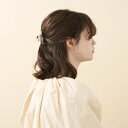 ALEXANDRE DE PARIS S クリップ アレクサンドル ドゥ パリ ヘアアクセサリー バレッタ・ヘアクリップ・ヘアピン【送料無料】