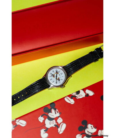 Original Camper Mickey Mouse 13-48-0158-552: Silver Original Camper Mickey Mouse 13-48-0158-552: Silver