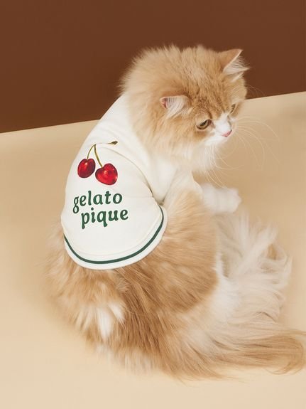 GELATO PIQUE CAT&DOG 【CAT&DOG】チェリー柄裏毛プルオーバー ジェラートピケ ペット用品 ペットウェ..