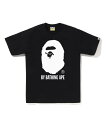 A BATHING APE BICOLOR BY BATHING APE TEE -ONLINE EXCLUSIVE- ア ベイシング エイプ トップス カットソー Tシャツ ブラック グレー ネイビー レッド ホワイト【送料無料】