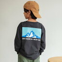 branshes 【WEB限定/DRC】アソートグラフィック長袖Tシャツ ブランシェス トップス カットソー・Tシャツ ホワイト ブルー オレンジ パープル ピンク グレー