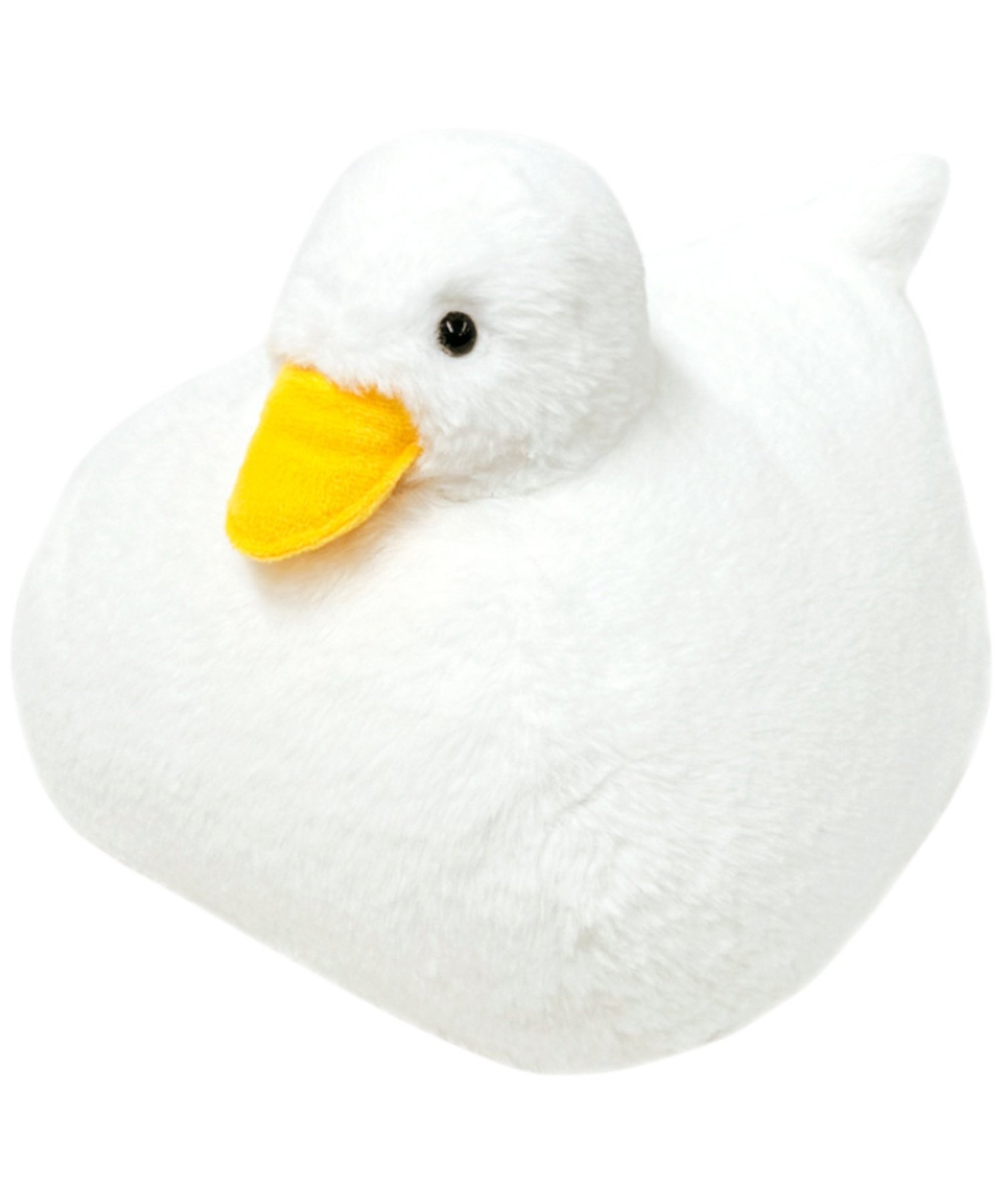 BACKYARD FAMILY omonui ̤  ƥꥢ軨 㡦ࡦե奢̵