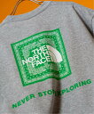 EDIFICE 洋服（メンズ） EDIFICE 《予約》THE NORTH FACE S/S Bandana Square Logo Tee NT32446 エディフィス トップス カットソー・Tシャツ グレー ブラック ホワイト【送料無料】