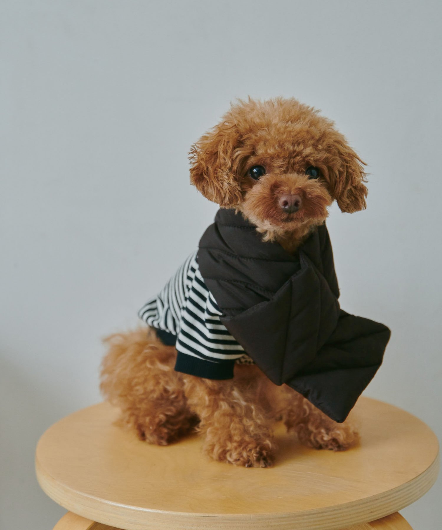 ロペピクニック 【SALE／30%OFF】ROPE' PICNIC PASSAGE 【DOG】リンクコーデ/蓄熱中綿キルティングマフラー ロペピクニック ペット用品 ペットウェア・ペット服 ブラック ブラウン ベージュ パープル