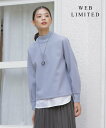 【SALE/30%OFF】J.PRESS LADIES L 【WEB限定カラーあり】ニードルパンチ カットソー ジェイプレス トップス カットソー・Tシャツ ブ...