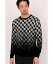 HIGH STREET HIGH STREET∴グラデーションキカ柄モールクルーネックニット トルネードマート トップス ..