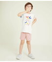 PETIT BATEAU pW} v`og[ Ci[E[EFA pW}yz