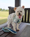 BIRTHDAY BAR 【SAHIR サヒール】PET HARNESS バースデイバー ペット用品 その他のペット用品 グレー ピンク
