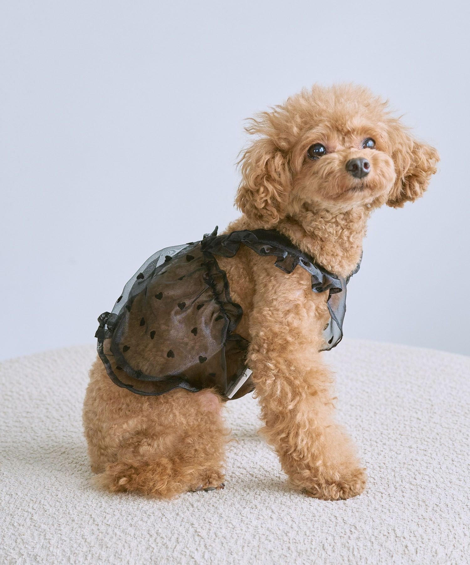 【SALE／50%OFF】ROPE' PICNIC PASSAGE 【DOG】シアーハート柄キャミソール ロペピクニック ペット用品 ペットウェア・ペット服 ブラック stylife-14961249 Rakuten Fashion サンプル画像3