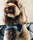 【SALE/20%OFF】ROPE' PICNIC PASSAGE 【comif(コミフ)*ROPE' PICNIC】【DOG】襟付き蝶ネクタイ ロペピクニック...