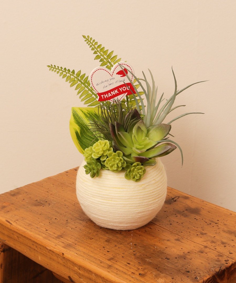 BACKYARD FAMILY ミックスウールポット ローラ インテリア・生活雑貨 その他のインテリア・生活雑貨 グリーン