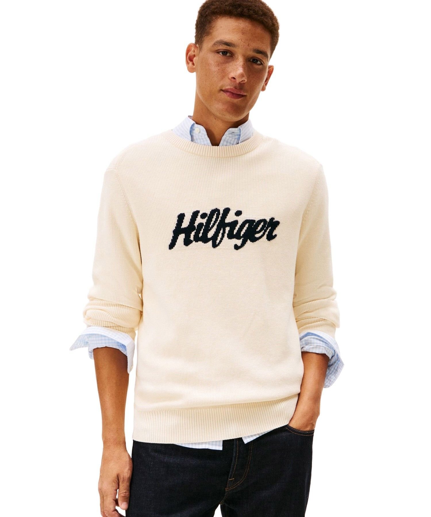 TOMMY HILFIGER シーズナルグラフィックコットンクルーネックセーター トミーヒルフィガー トップス ニット ネイビー ホワイト【送料無料】