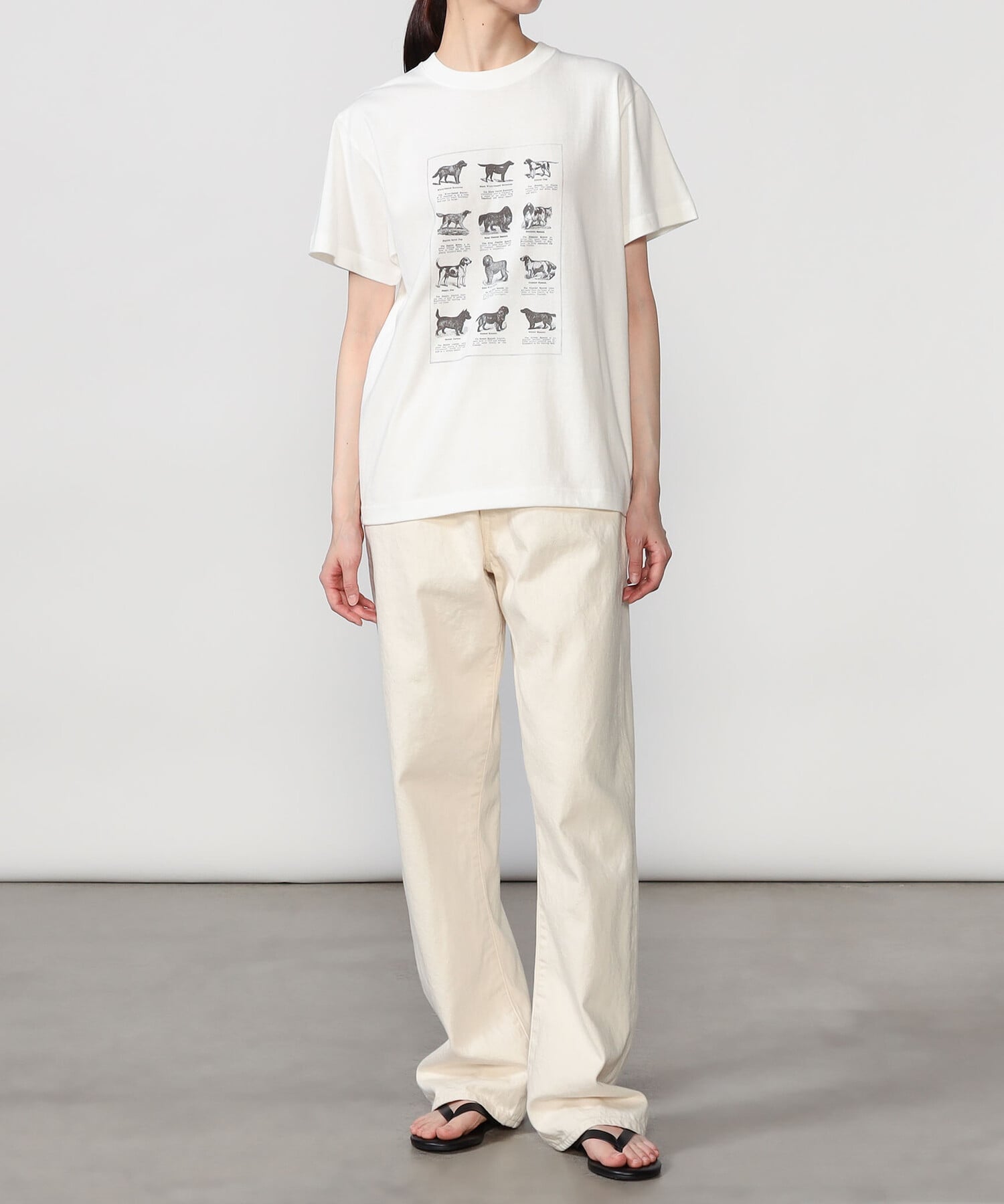 Bshop History of Art ｜ プリントTシャツ DOG WOMEN ビショップ トップス カットソー・Tシャツ ホワイト